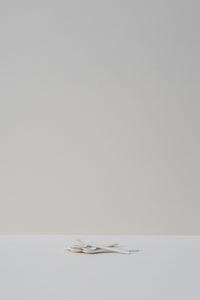 Porcelain Spoon
