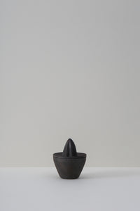 Citrus Juicer