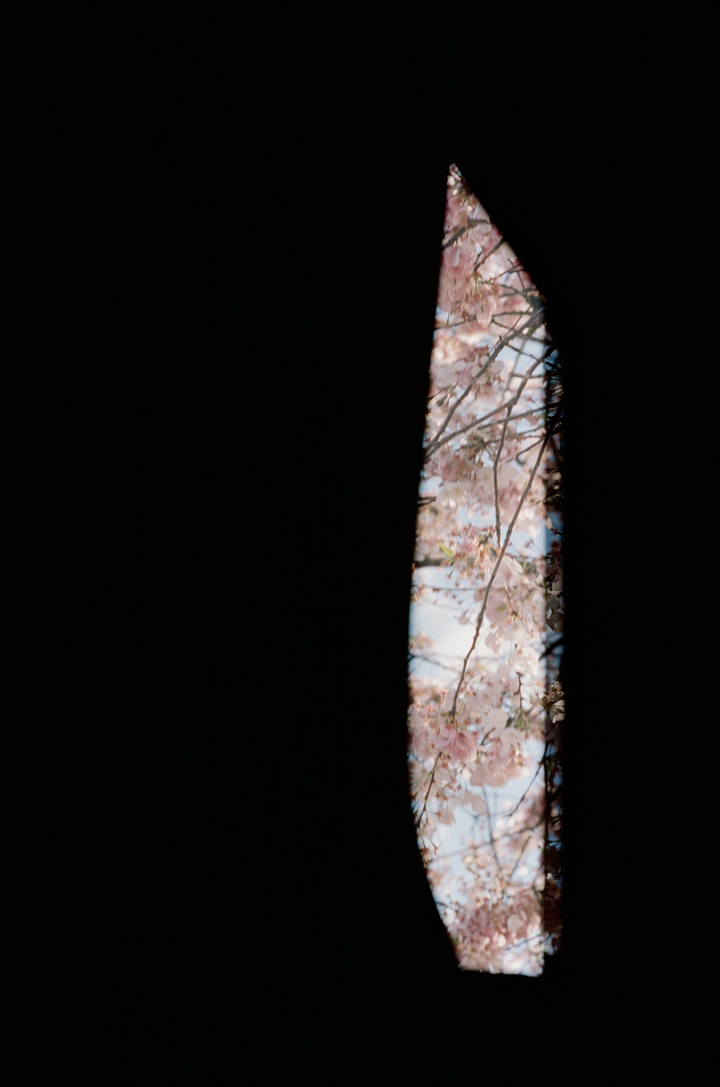 Beginnings of Spring – Storied Objects