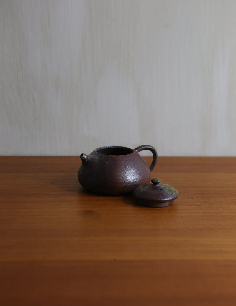 Gongfu Teapot - III