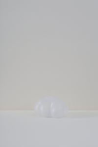 Inflate Vase - I