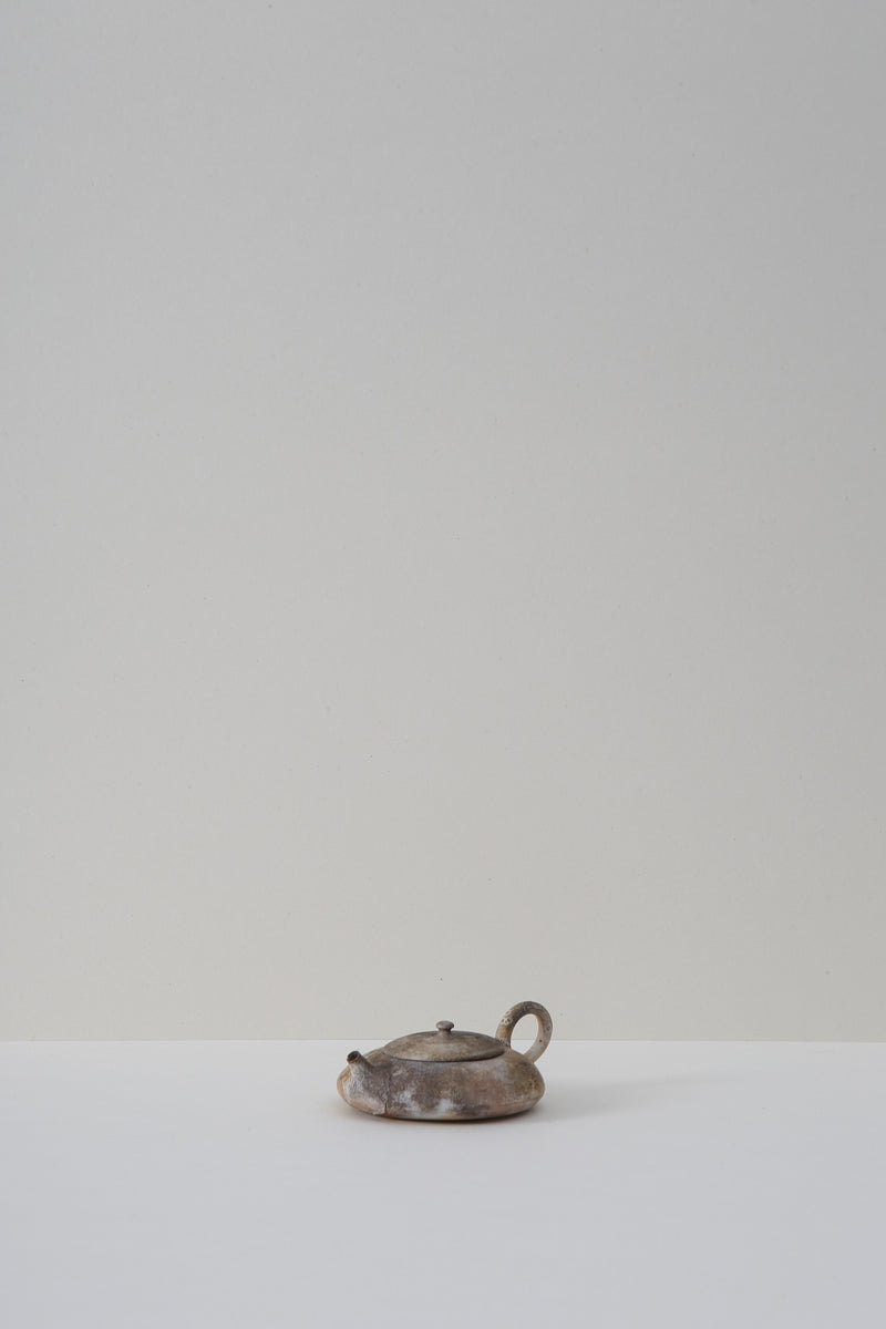Gongfu Teapot - I
