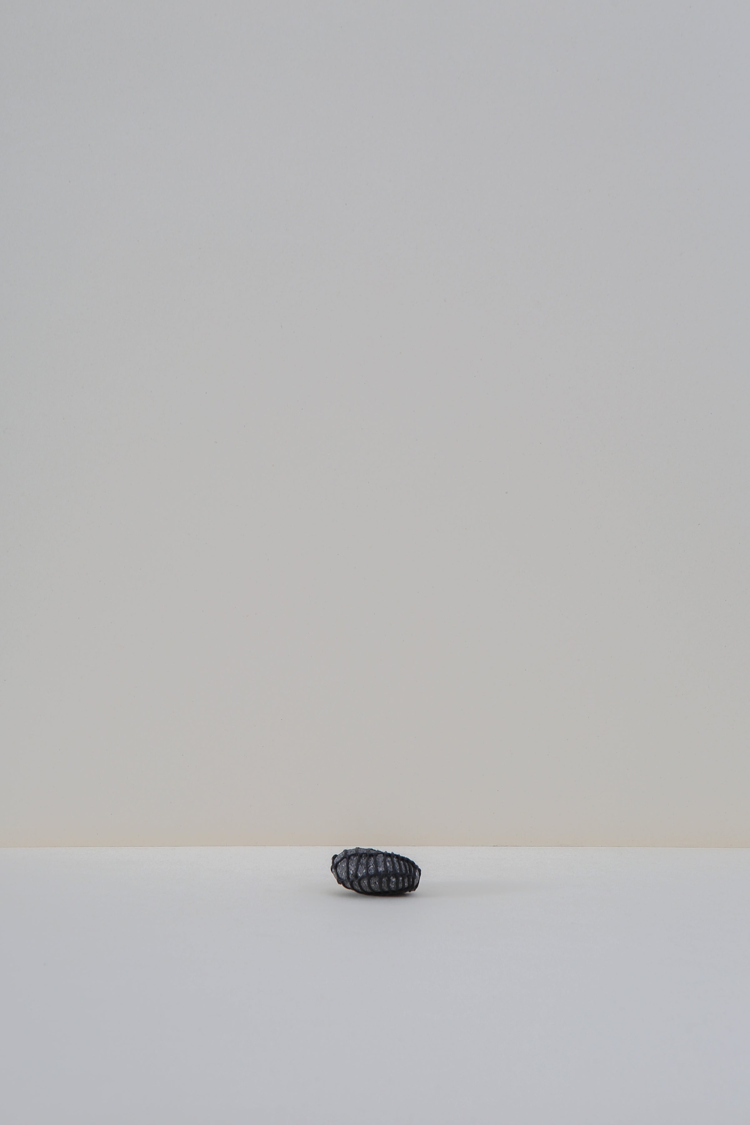 Netted Stone - III