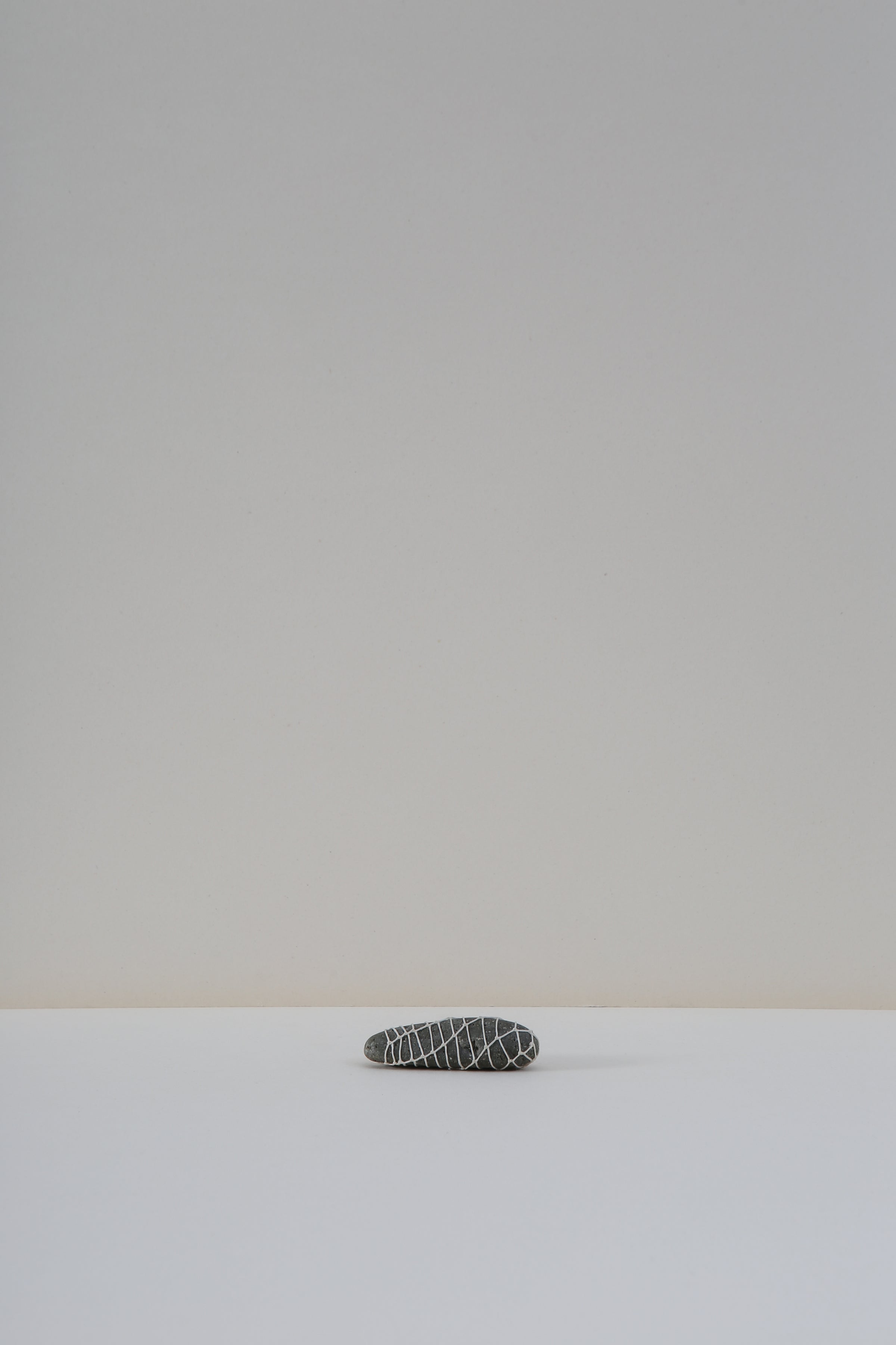 Netted Stone - IV