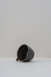 Large Katakuchi