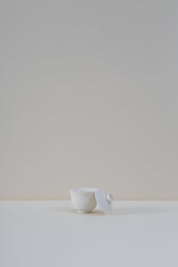 Porcelain Gaiwan - II
