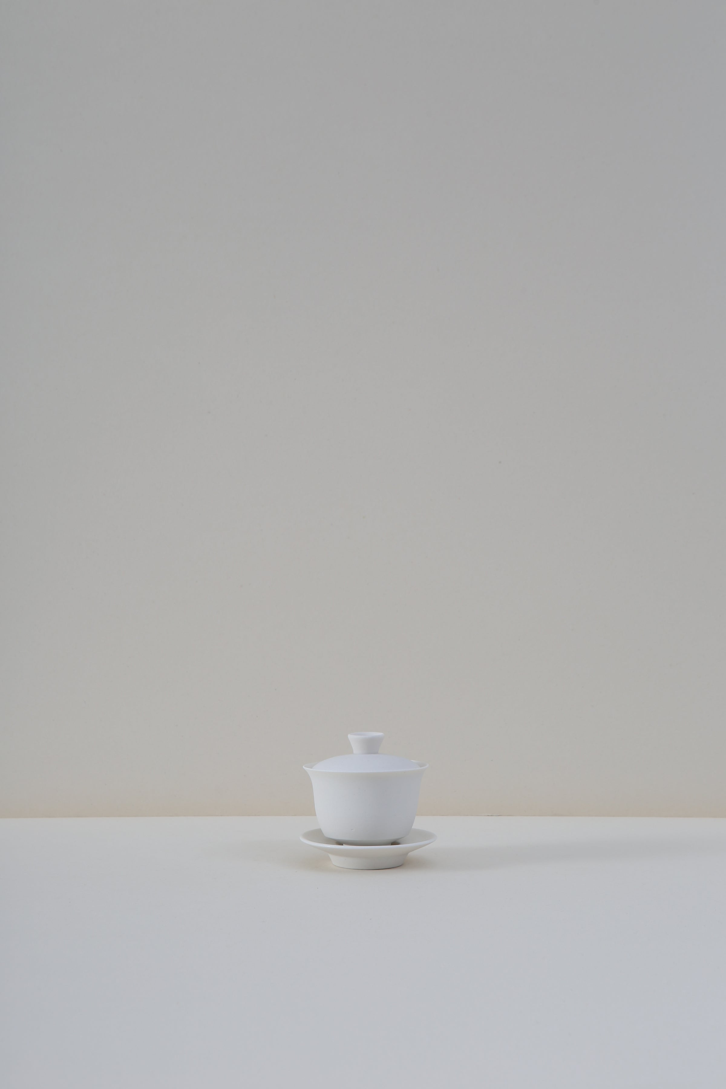 Porcelain Gaiwan - III