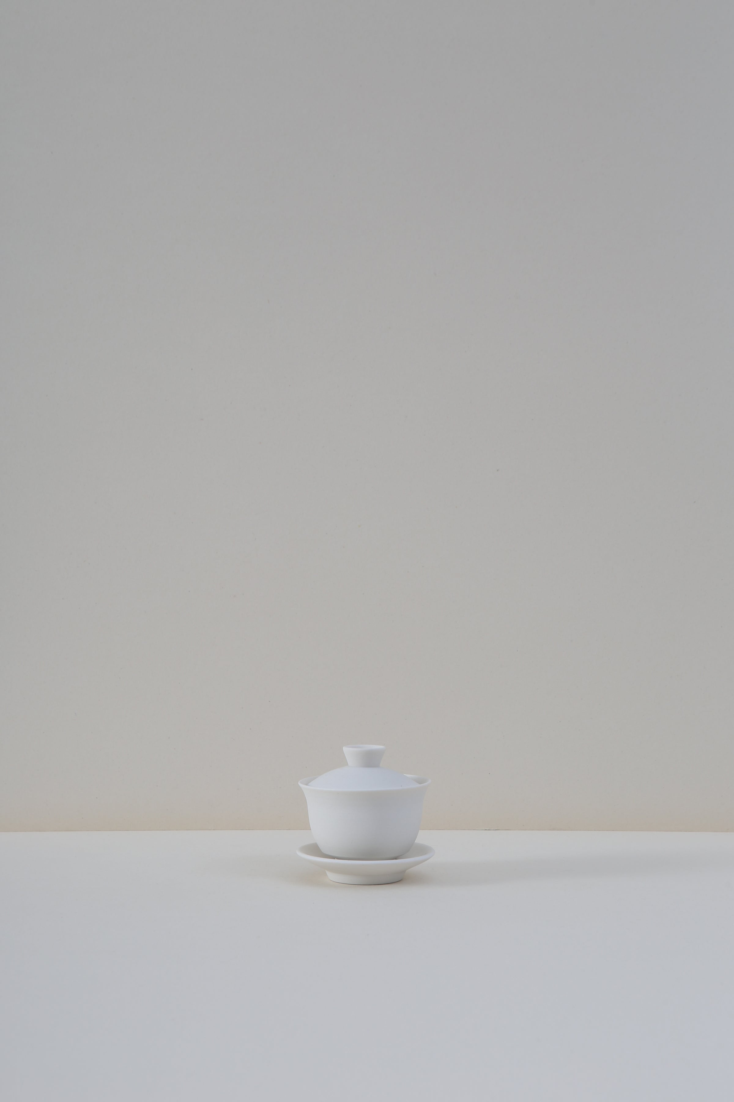 Porcelain Gaiwan - IV