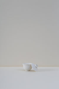 Porcelain Gaiwan - IV