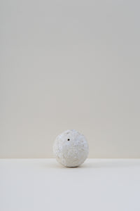 Hanging Pod Vase - Large