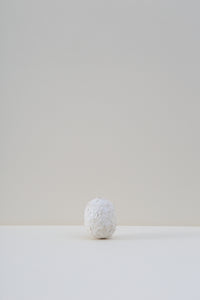 Hanging Pod Vase - Medium