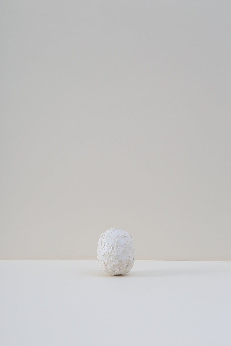 Hanging Pod Vase - Medium