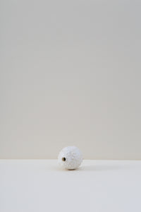 Hanging Pod Vase - Medium