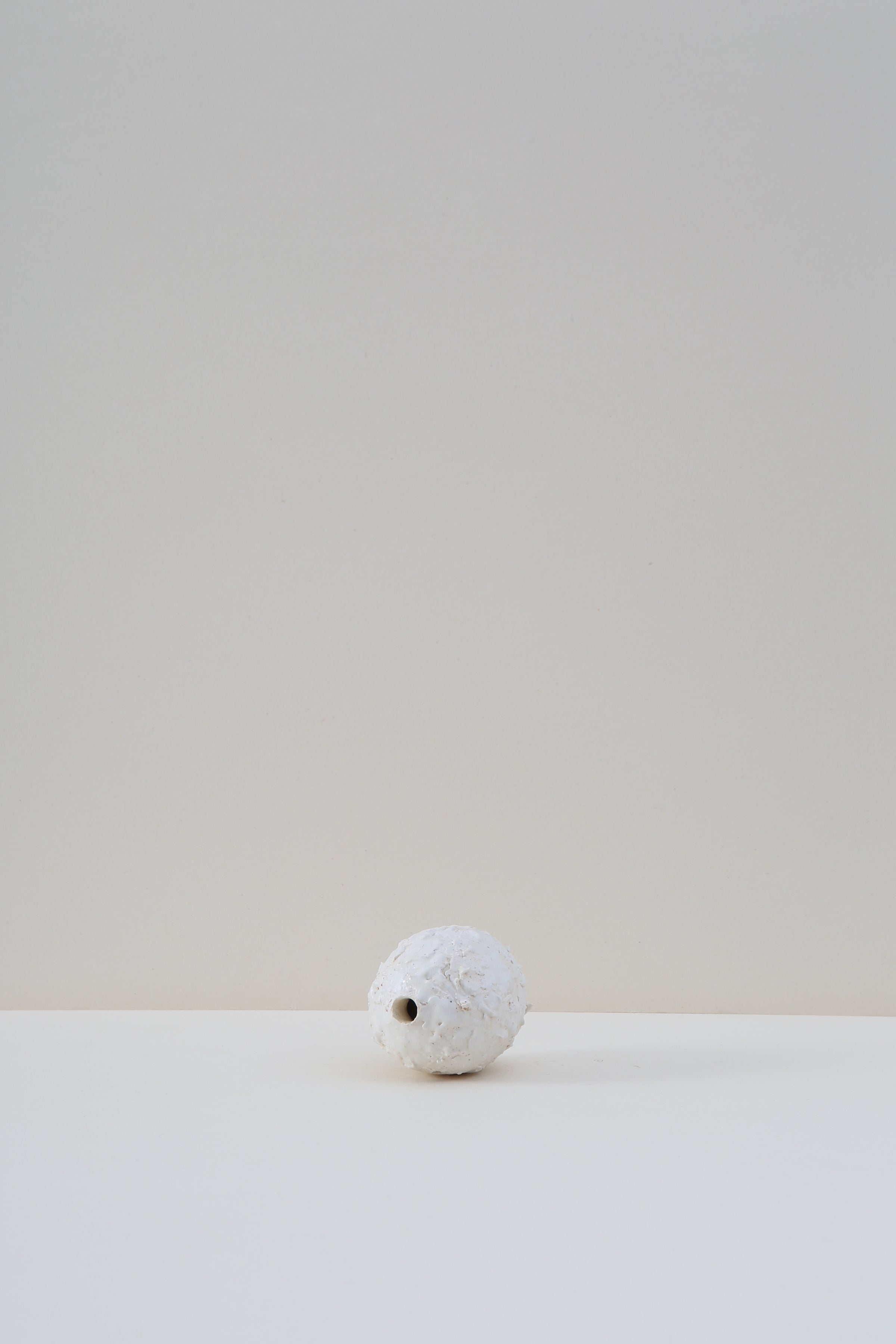 Hanging Pod Vase - Medium