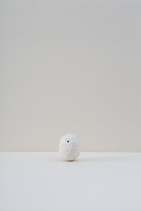 Hanging Pod Vase - Medium