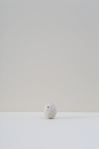 Hanging Pod Vase - Small