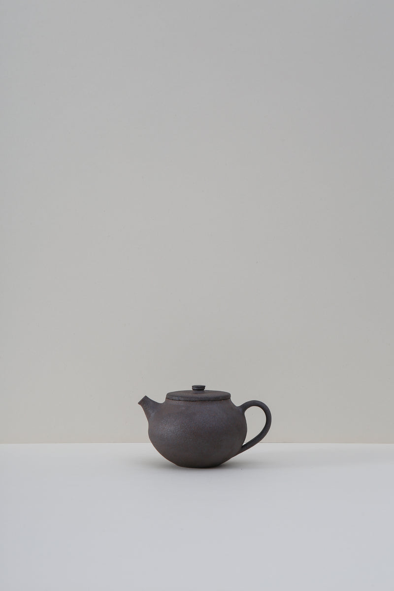 Raw Stoneware Teapot - I