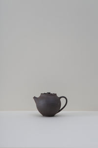 Raw Stoneware Teapot - III