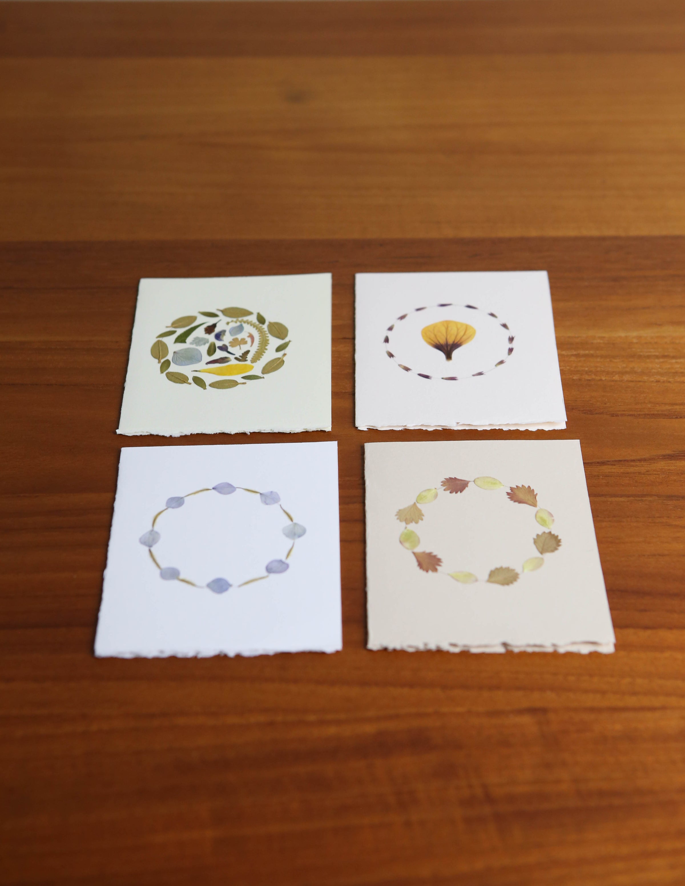 Dried Leaf 'Enso' Cards